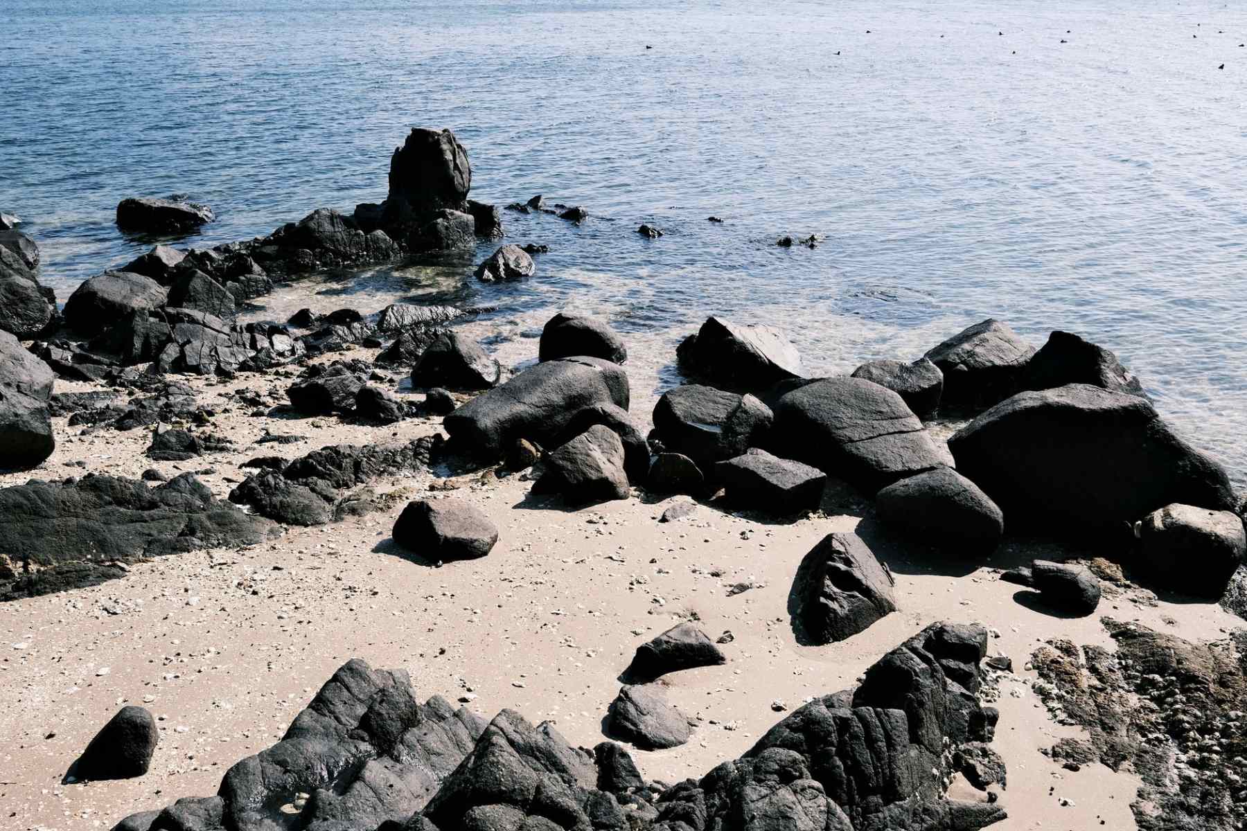 Elephant Beach | Boat Excursion & Complimentary Snorkelling